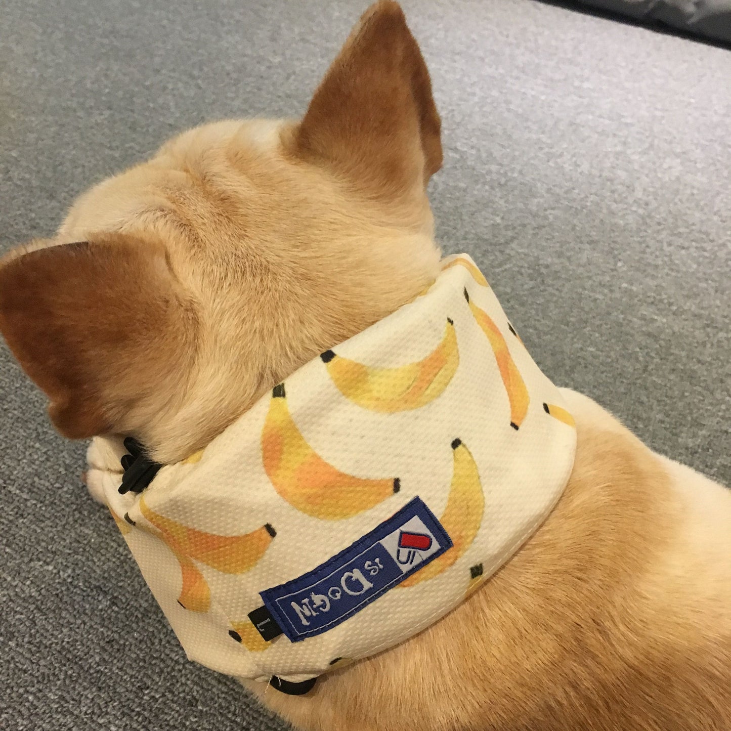 Chill Fruit Cooling Scarf — Summer Heat Relief