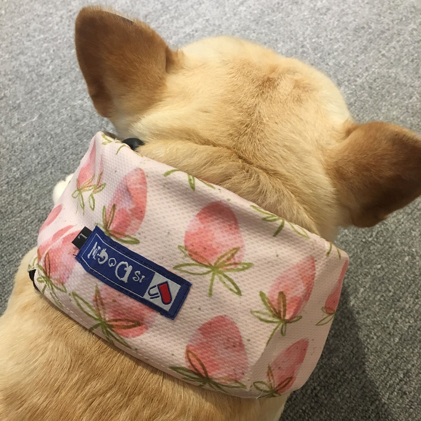 Chill Fruit Cooling Scarf — Summer Heat Relief
